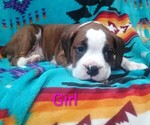 Small #2 Breeder Profile image