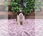 Small #1 Breeder Profile image
