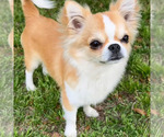 Small #46 Breeder Profile image