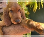 Small #5 Breeder Profile image