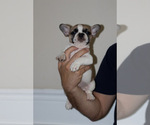 Small #7 Breeder Profile image