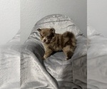Small #8 Breeder Profile image