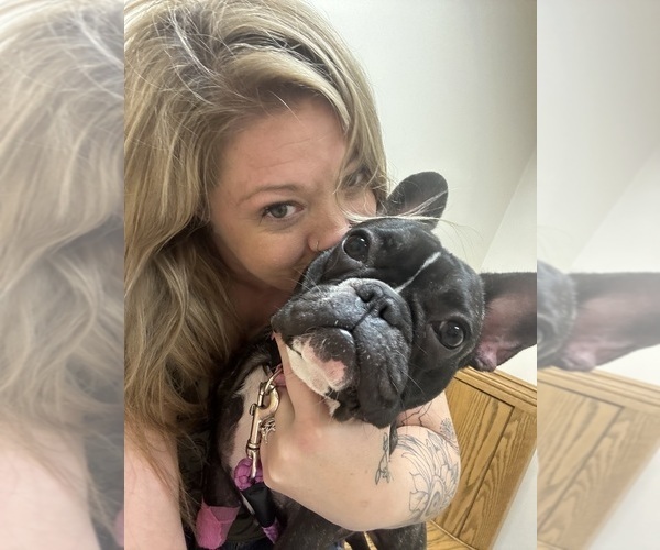 Medium Photo #21  Breeder Profile in BIG RAPIDS, MI, USA