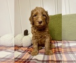 Small #10 Breeder Profile image
