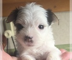 Small #5 Breeder Profile image