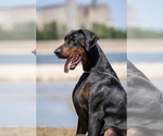 Small #2 Breeder Profile image