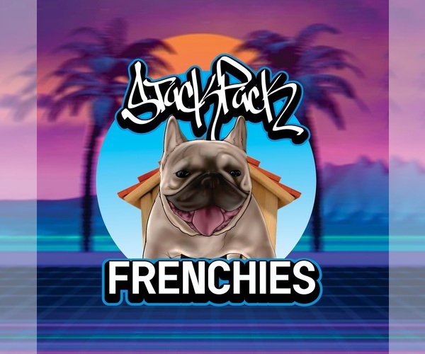 Medium Photo #1  Breeder Profile in MIAMI, FL, USA