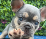 Small #4 Breeder Profile image