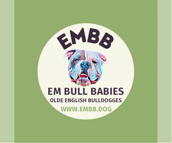 Medium Photo #1  Breeder Profile in DENVER, CO, USA