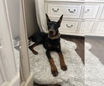 Small #2 Breeder Profile image