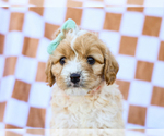 Small Photo #1  Breeder Profile in LIBERTY, KY, USA