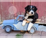 Small #15 Breeder Profile image
