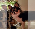 Small #85 Breeder Profile image