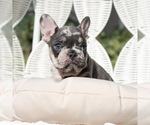 Small #14 Breeder Profile image