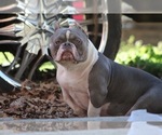 Small #8 Breeder Profile image