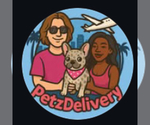 Small #12 Breeder Profile image