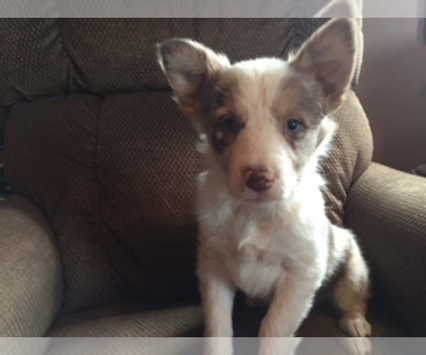 Medium Photo #1  Breeder Profile in WILLISTON, ND, USA