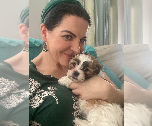 Medium Photo #9  Breeder Profile in PASADENA, MD, USA