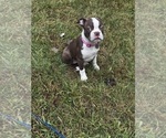 Small #2 Breeder Profile image
