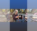 Small #16 Breeder Profile image