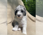 Small #15 Breeder Profile image