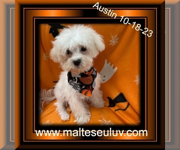 Medium Photo #2  Breeder Profile in SILVERHILL, AL, USA