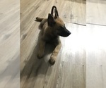 Small #2 Breeder Profile image