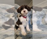 Small #2 Breeder Profile image