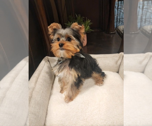 Medium Photo #1  Breeder Profile in INDIO, CA, USA