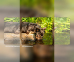 Small #8 Breeder Profile image