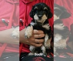 Small #2 Breeder Profile image