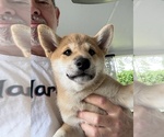 Small #10 Breeder Profile image