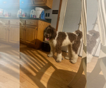 Small #3 Breeder Profile image