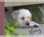 Small #3 Breeder Profile image