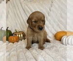 Small #3 Breeder Profile image