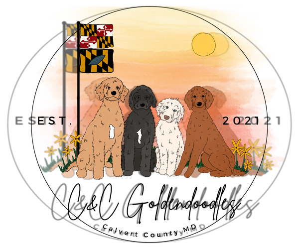 Medium Photo #1  Breeder Profile in LUSBY, MD, USA