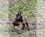 Small #17 Breeder Profile image