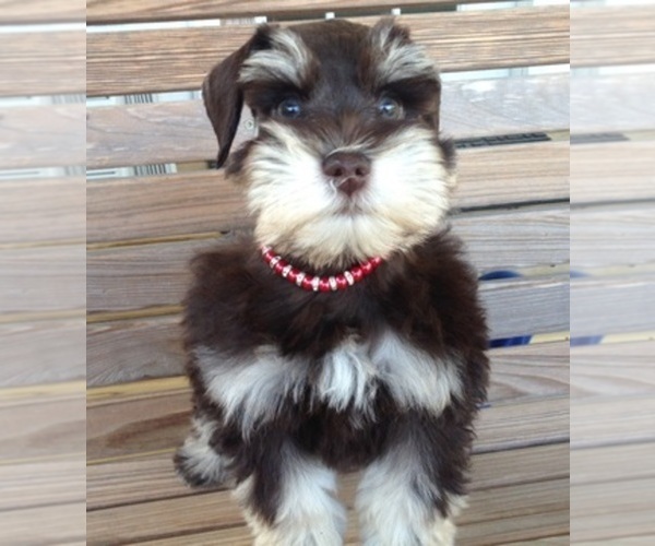 Medium Photo #1  Breeder Profile in WEWAHITCHKA, FL, USA