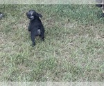 Small #11 Breeder Profile image