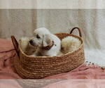 Small #17 Breeder Profile image