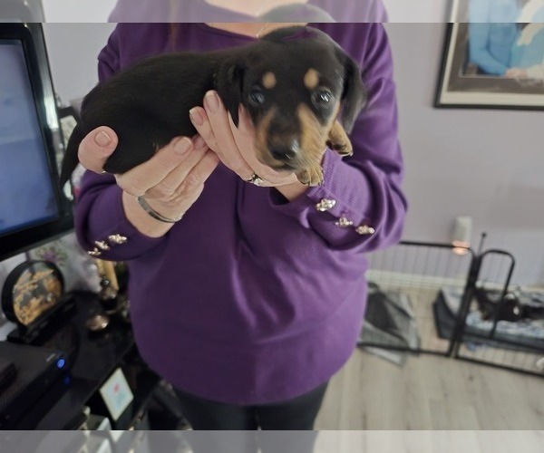 Medium Photo #19  Breeder Profile in KIRTLAND, NM, USA