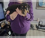 Small #18 Breeder Profile image