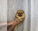 Small #12 Breeder Profile image