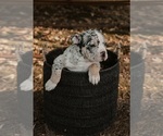 Small #3 Breeder Profile image