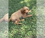 Small #19 Breeder Profile image