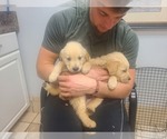 Small #9 Breeder Profile image
