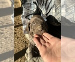 Small #5 Breeder Profile image