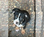 Small #2 Breeder Profile image