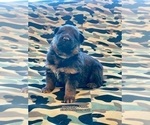 Small #23 Breeder Profile image