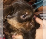 Small #22 Breeder Profile image